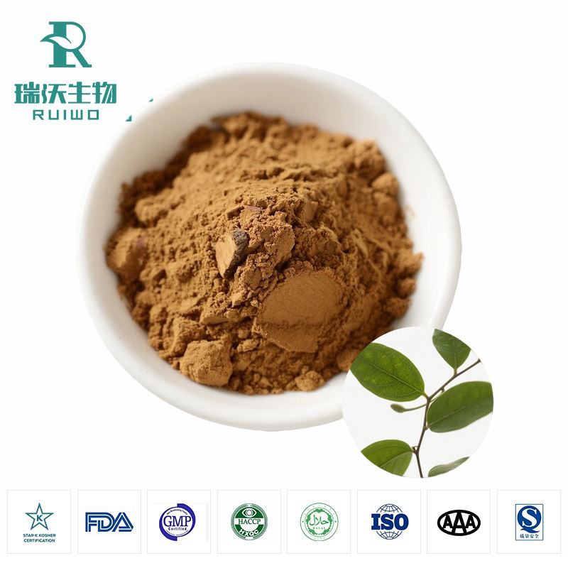 Gymnema Sylvestre Estratt Trab